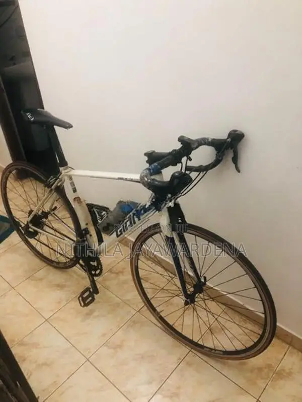 Giant Bicycle