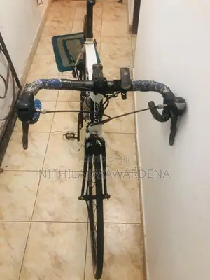 Giant Bicycle