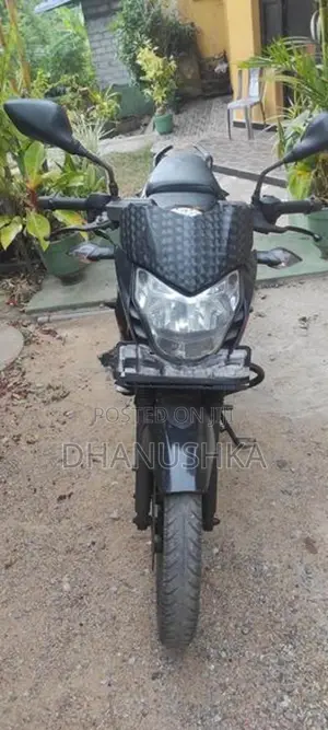 Bajaj Pulsar 135 2015
