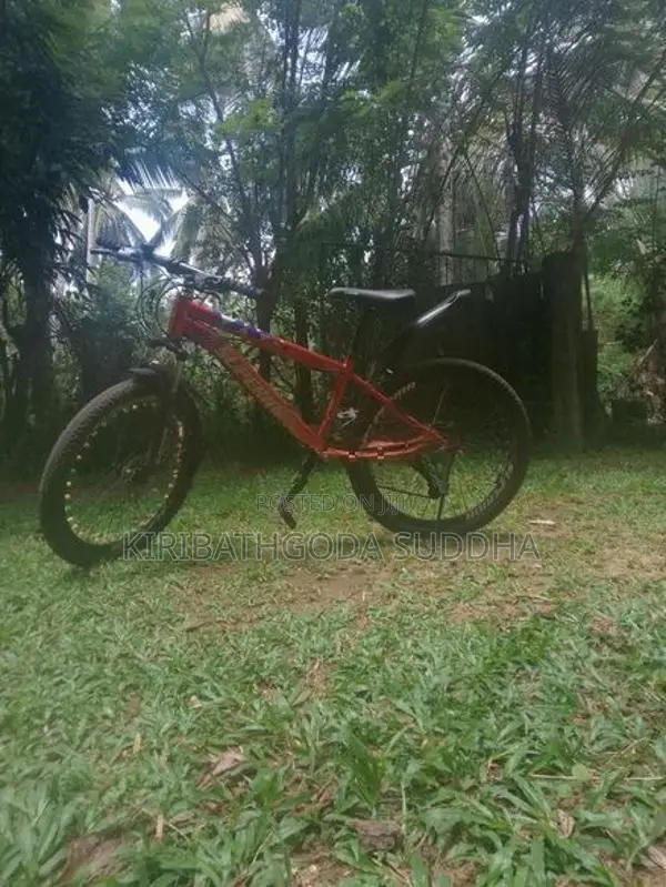 Bicycle