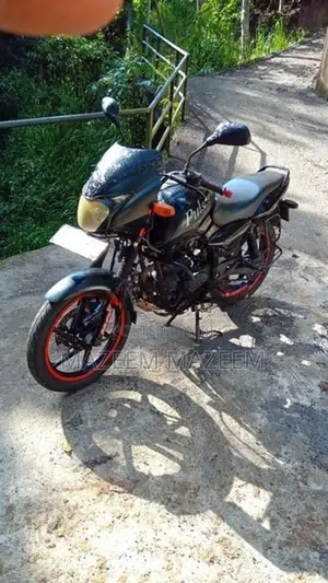 Bajaj Pulsar 180 2006