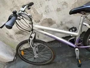 Giant Bicycle