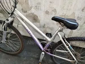 Giant Bicycle
