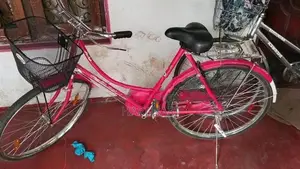 Lumala Bicycle