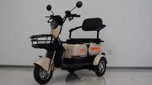 Electric Tricycle 2026