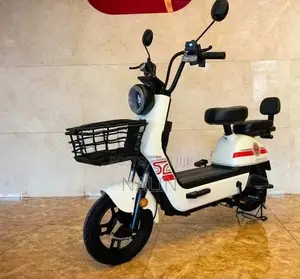 Kapla E-Bike 2026