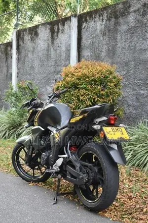 Yamaha FZ V2 Anniversary 2018