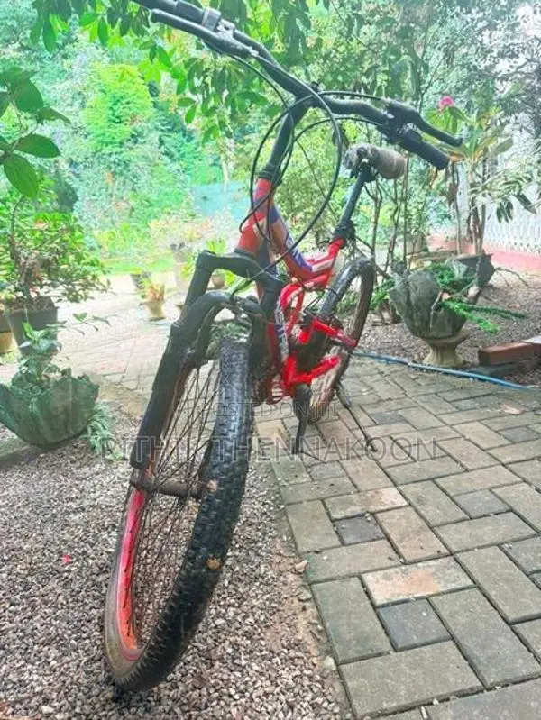 Bicycle