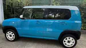 Suzuki Hustler 2017