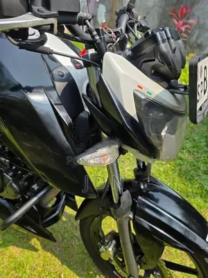 TVS Apache RTR 160 2019