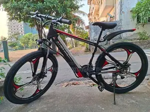 Electric Mountain Bike