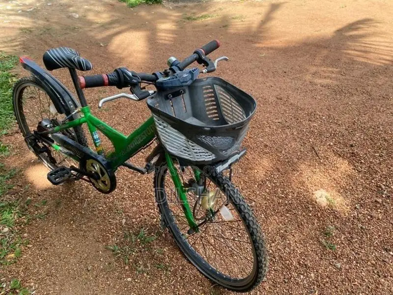 Bicycle Japan