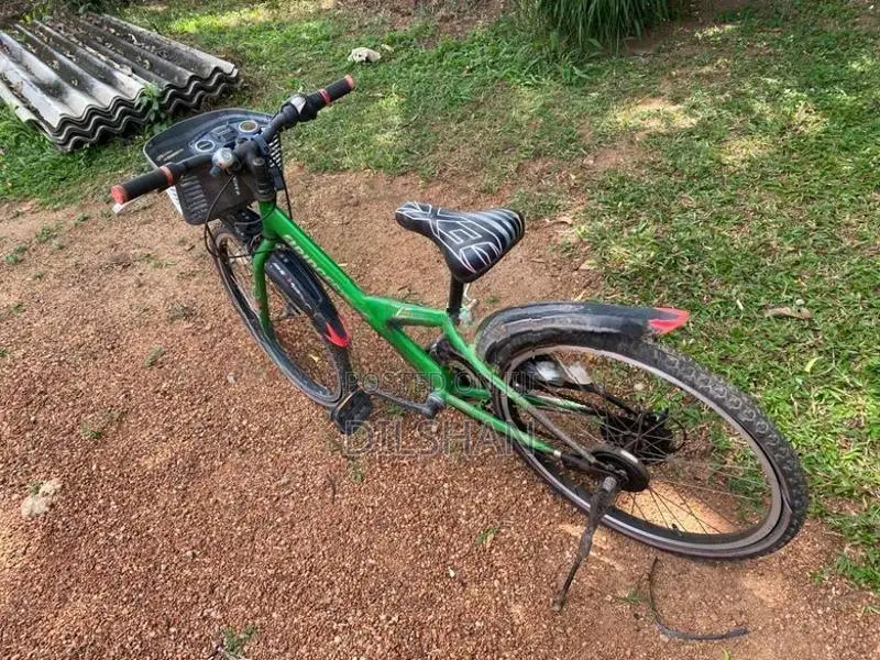 Bicycle Japan