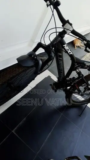 Lumstar Bicycle 20"