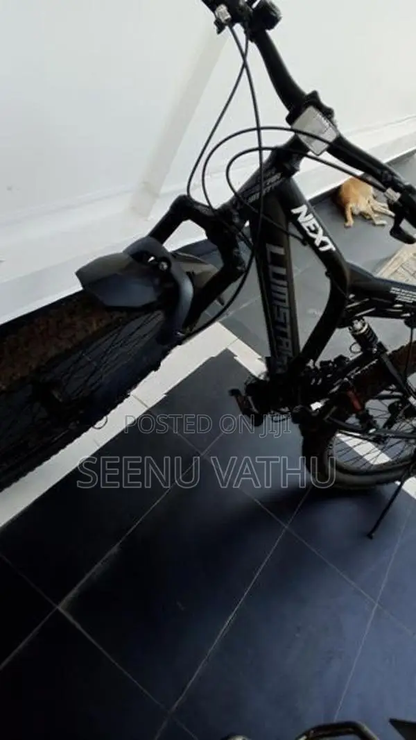 Lumstar Bicycle 20"