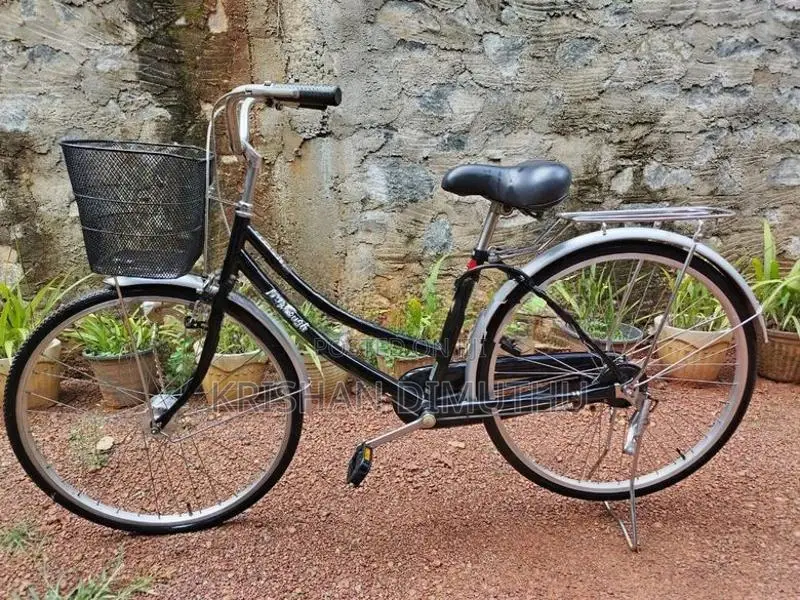 Japan, ladies bicycle