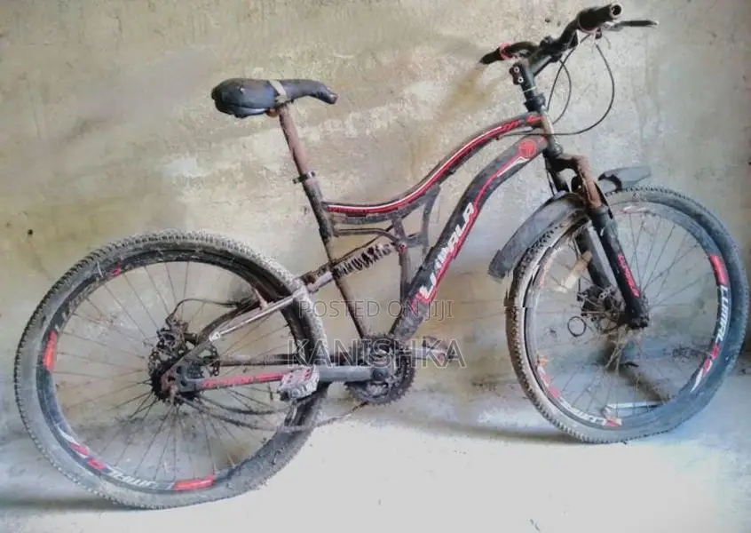 Lumala Bicycle