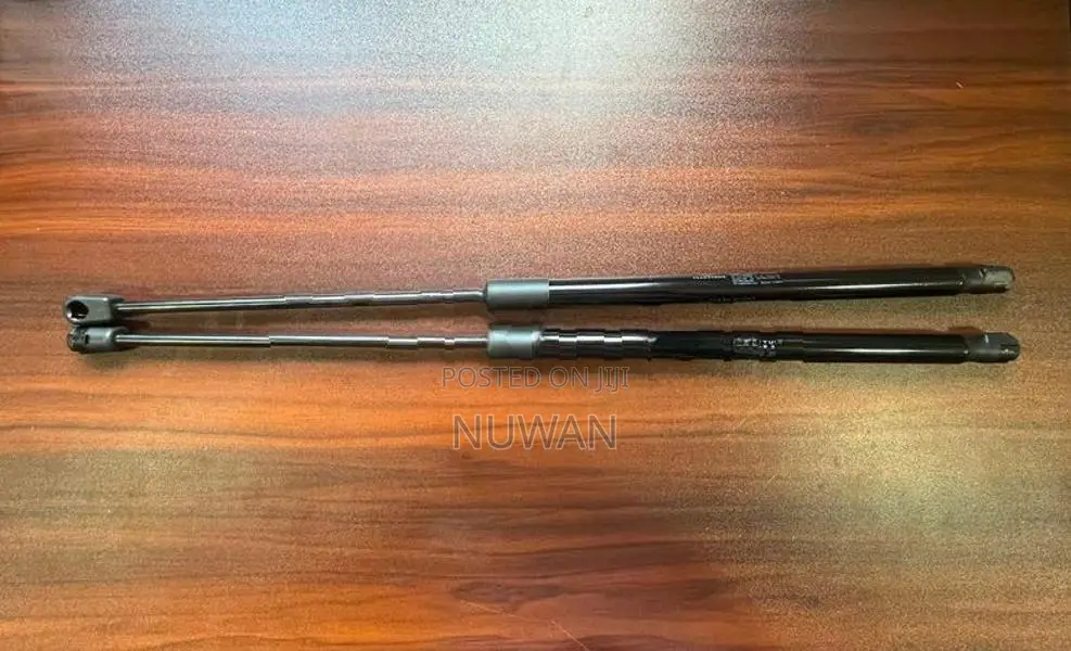 Rexton Tail Gate Shocks