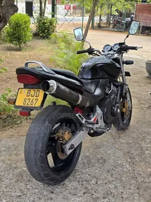 Honda Hornet 250 2007