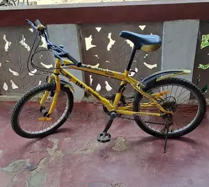 DSI bicycle