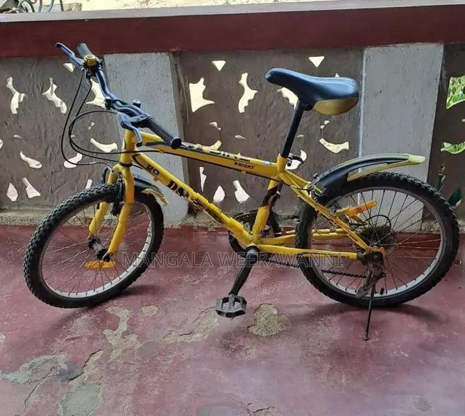 DSI bicycle