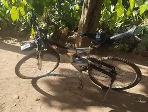 Japan Bicycle