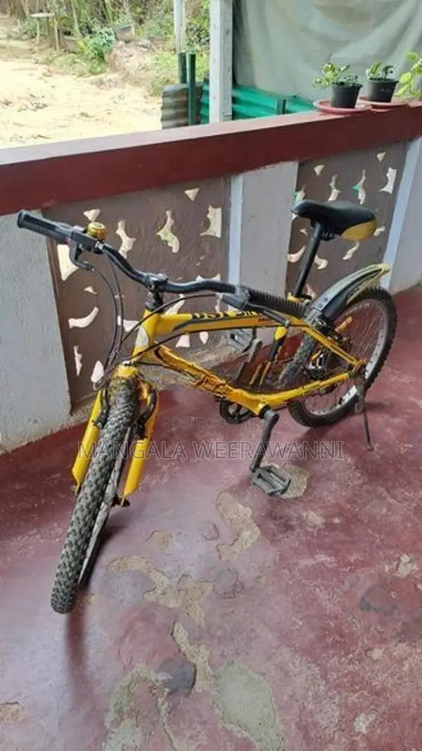 DSI bicycle