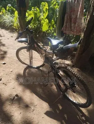 Japan Bicycle