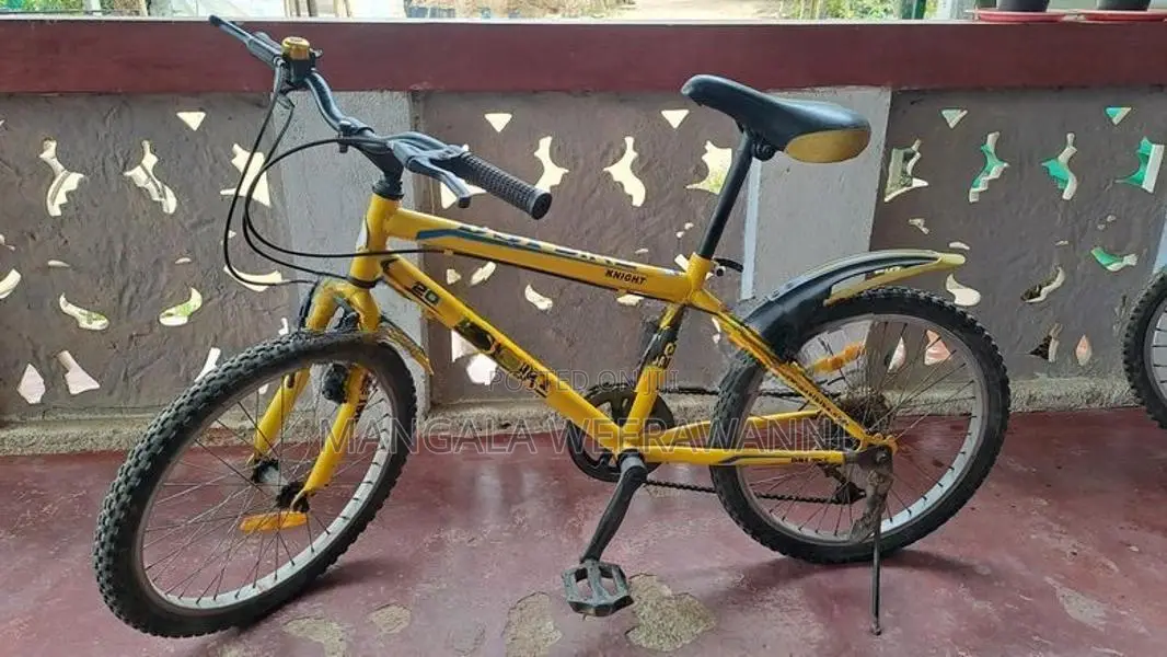 DSI bicycle