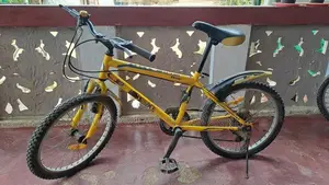DSI bicycle