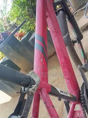 Nikxus Bicycle