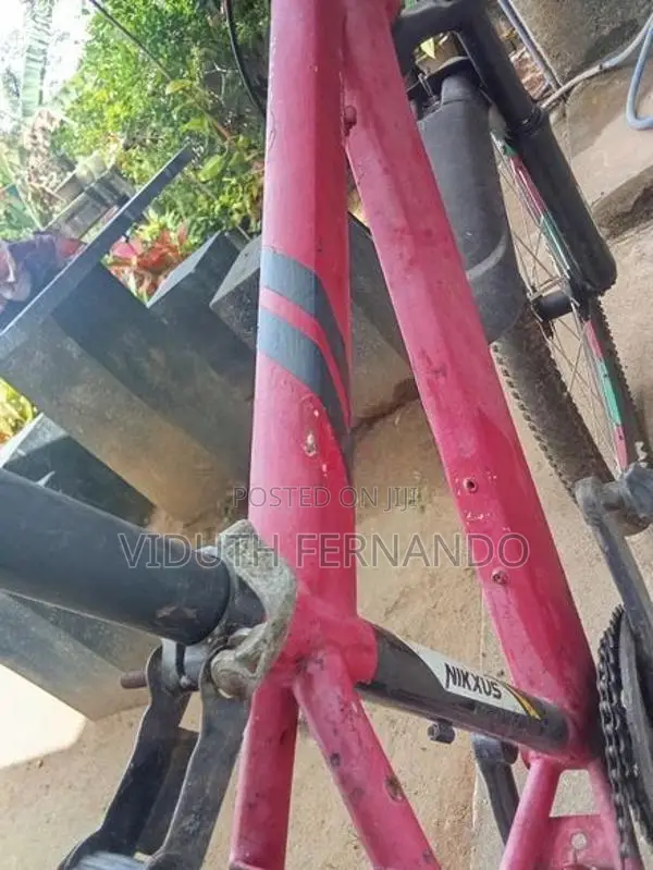 Nikxus Bicycle