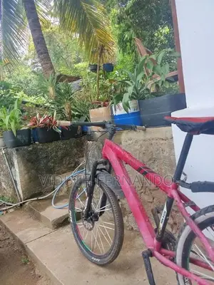 Nikxus Bicycle