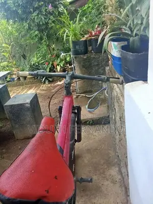 Nikxus Bicycle