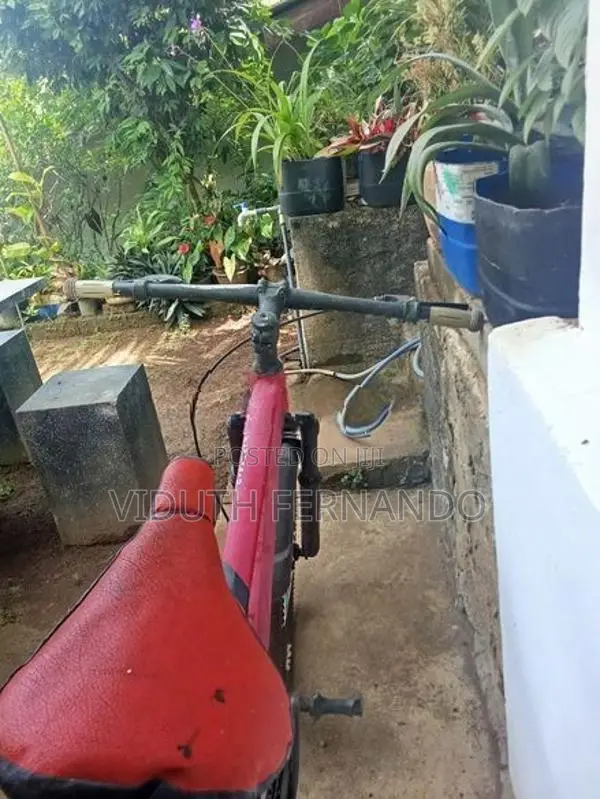 Nikxus Bicycle