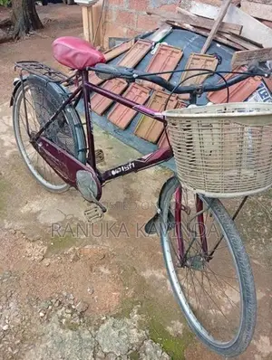 Japan bike