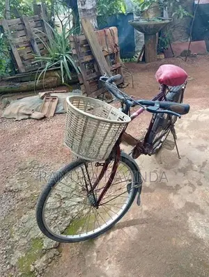 Japan bike