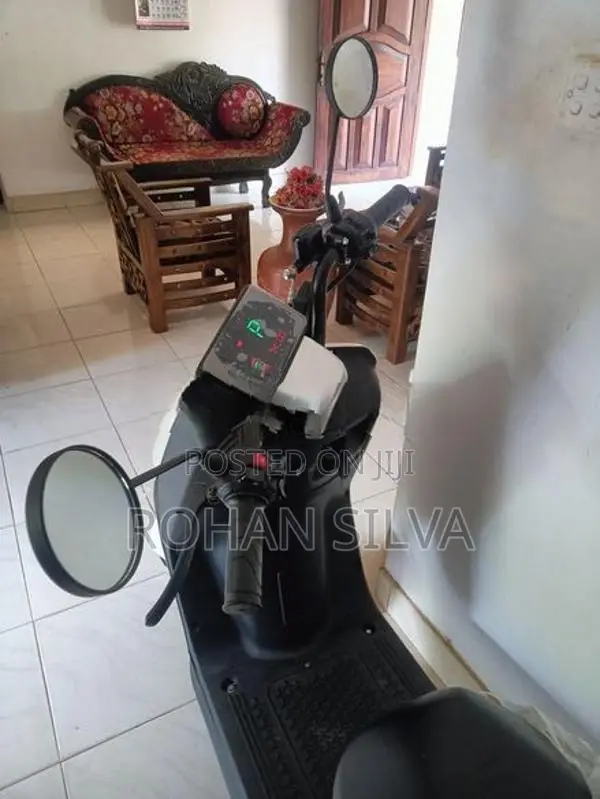 Electric Bike 2024