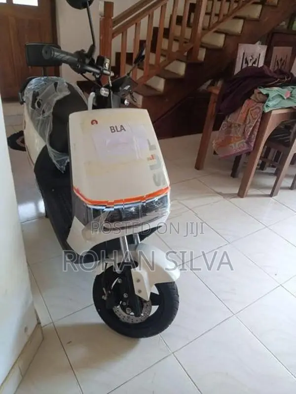 Electric Bike 2024