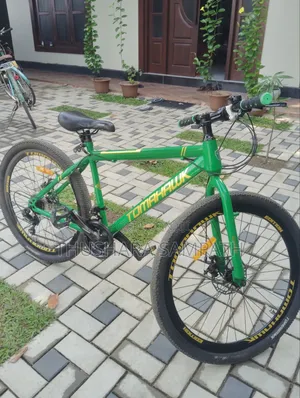 Mountain Ladies Bicycle