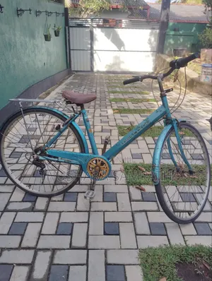 Mountain Ladies Bicycle
