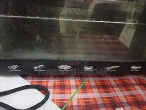 Electric Oven