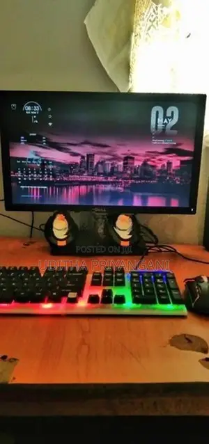 19 inch Dell monitor