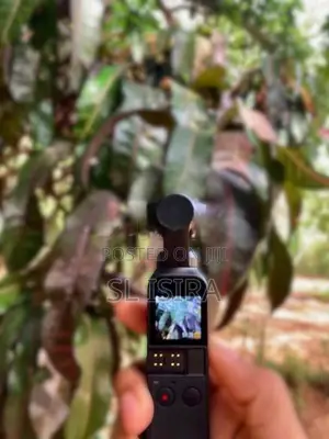 DJI Osmo Pocket 1
