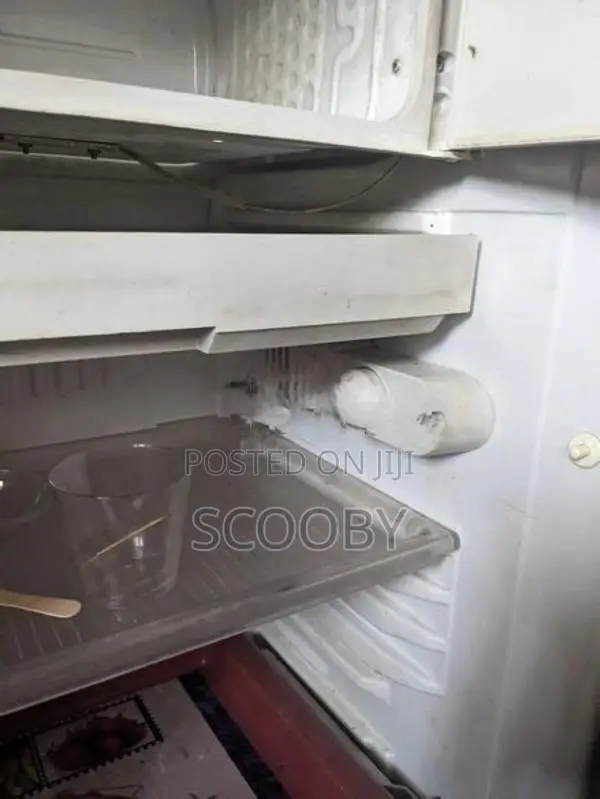 singer frige