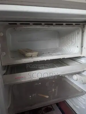 singer frige