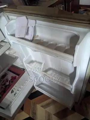 singer frige