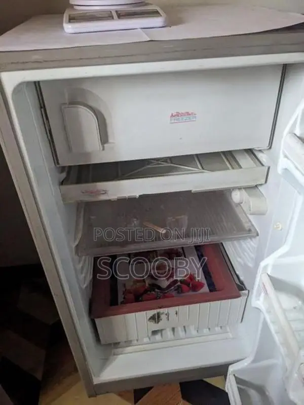 singer frige