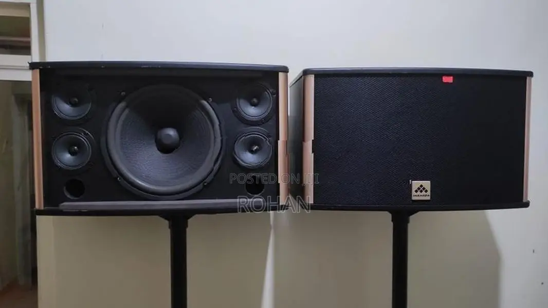 Karaoke speaker