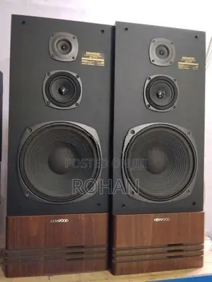Kenwood 12" speaker